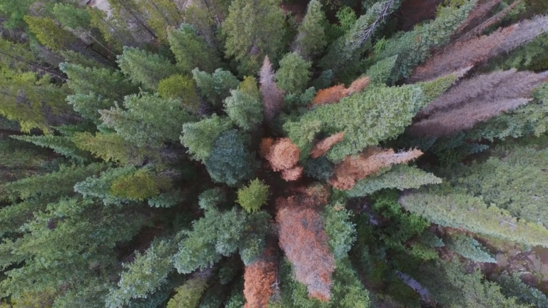 Las nuevas maneras de ver el mundo gracias a los drones