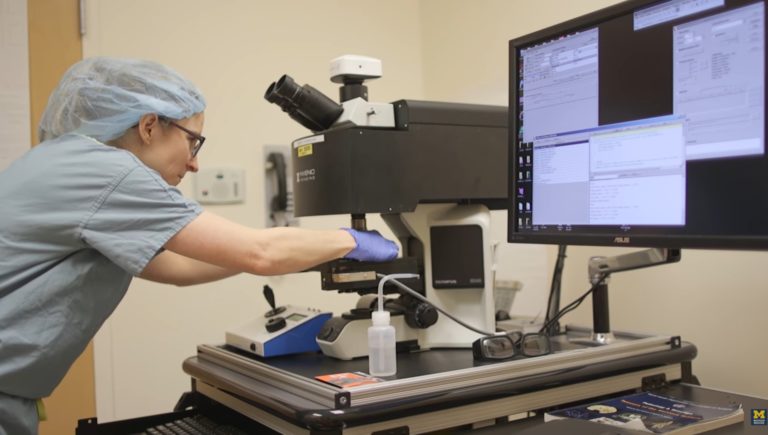 Surge una rápida y óptima técnica para detectar tumores en el cerebro