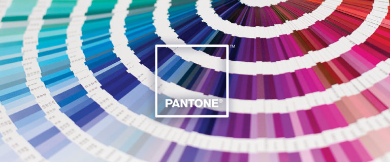 ¿Sabes cuál es el color favorito del mundo?